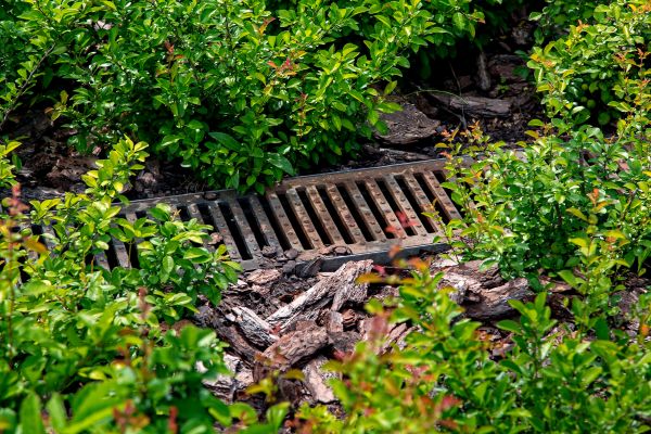 Underground Drainage Service in Alexandria