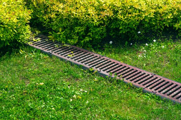 Lawn Drainage in Alexandria