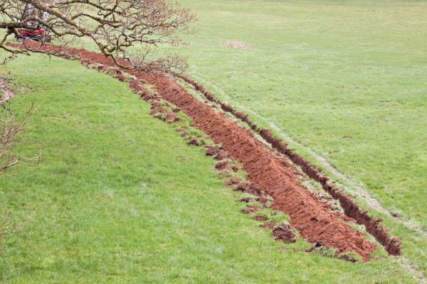 Cost of Swale Installation in Alexandria
