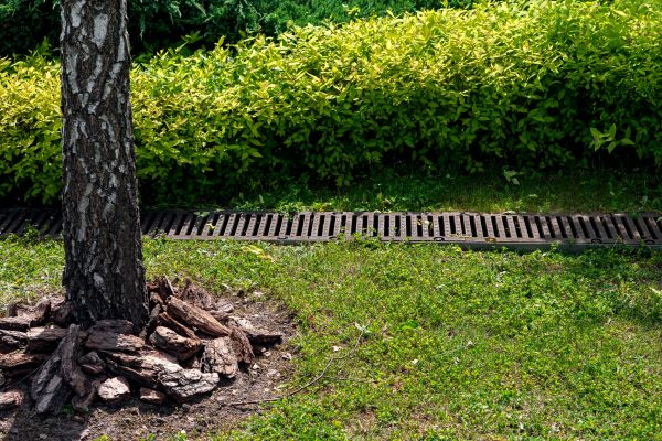 Garden Drainage Installation in Alexandria