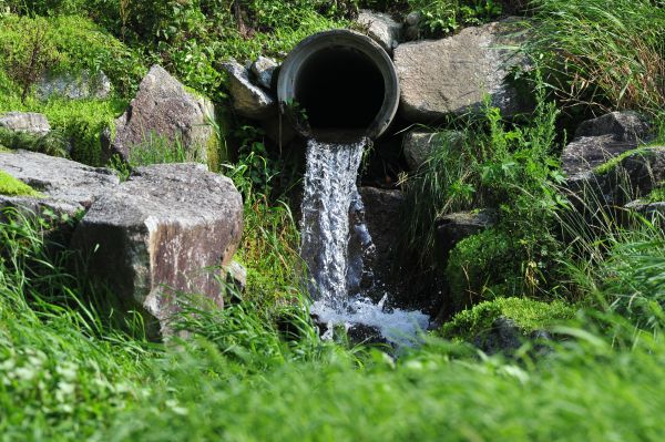 Water Redirection in Alexandria
