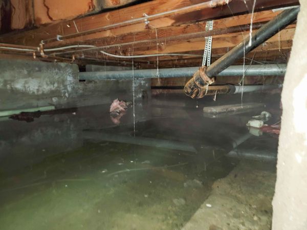 Cost of Crawlspace Drainage in Alexandria