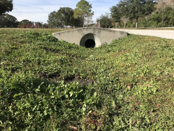Cost of Swale Drainage Service in Alexandria