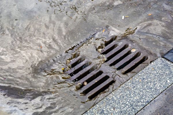 Cost of Drainage Basin Installation in Alexandria